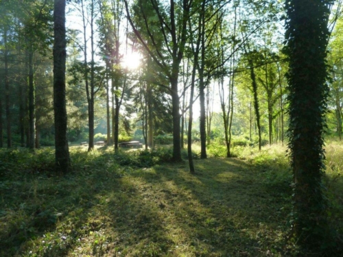 Arboretum Jean Beugnon - CIEOA